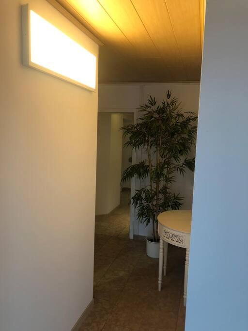Haus Jaeger Ruheoase Im Gruenen Apartment Lohfelden Exterior photo